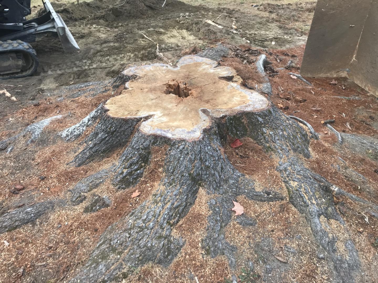 Dessouchage Sherbrooke